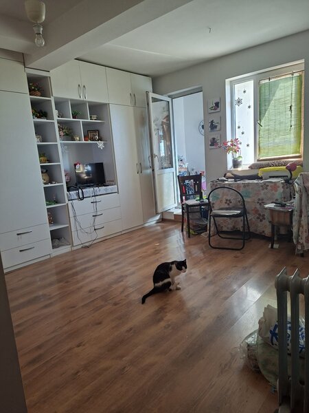 Grivitei intersectie cu Bdul Dacia vis a vis de Facultatea de Arte Plastice